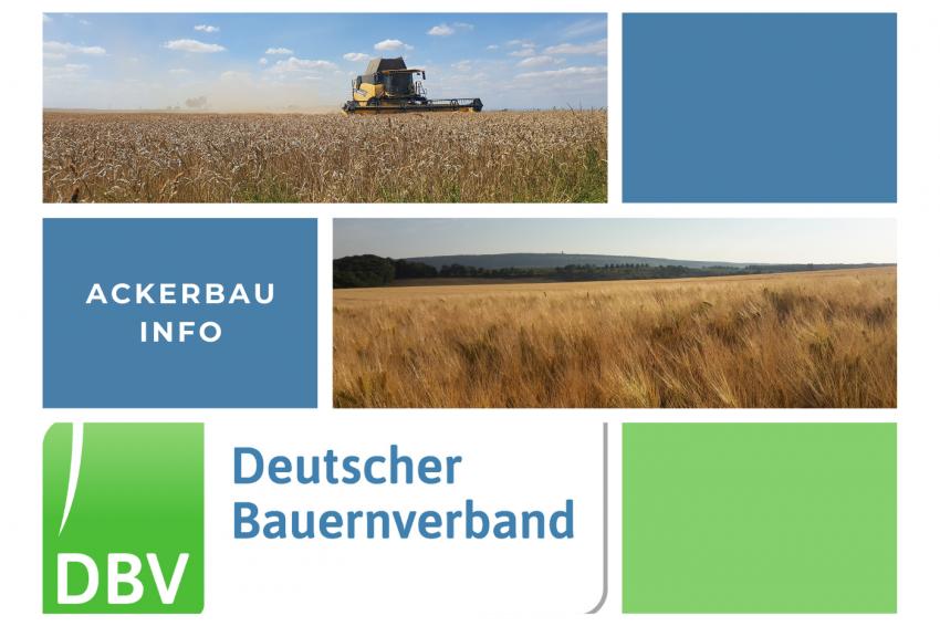 DBV Ackerbauinfo 30/2025