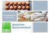 DBV Bauerninfo Geflügel 18-2025