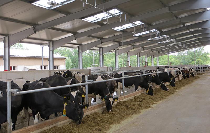 Medieneinladung: Gemeinschaftstagung von Tierärzten und Landwirten