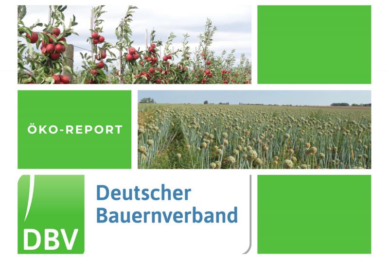 DBV Öko Report 08/2021