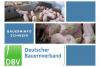Bauerninfo Schwein 06/2025