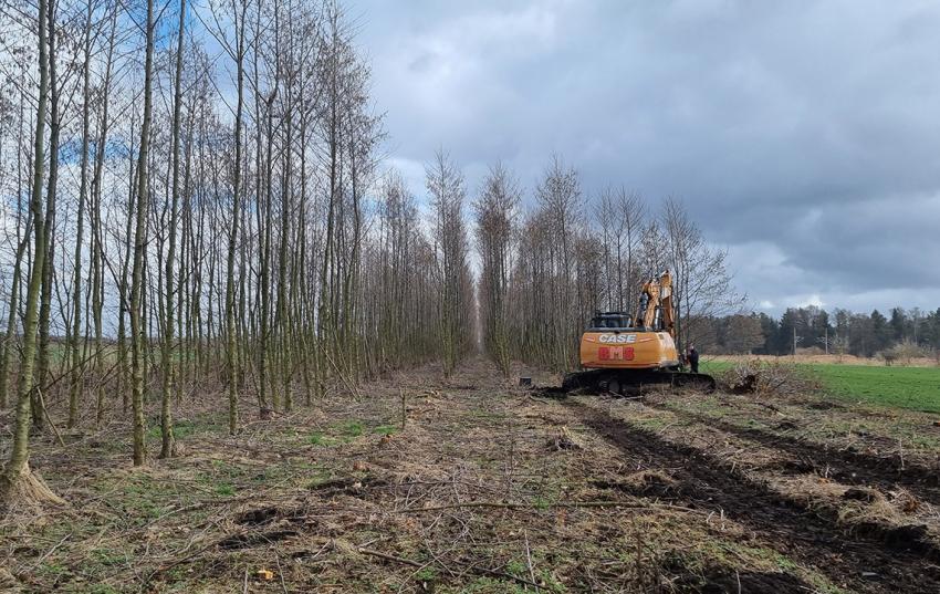 Regionale Informationsveranstaltungen zu den Grundlagen von Agroforstsystemen