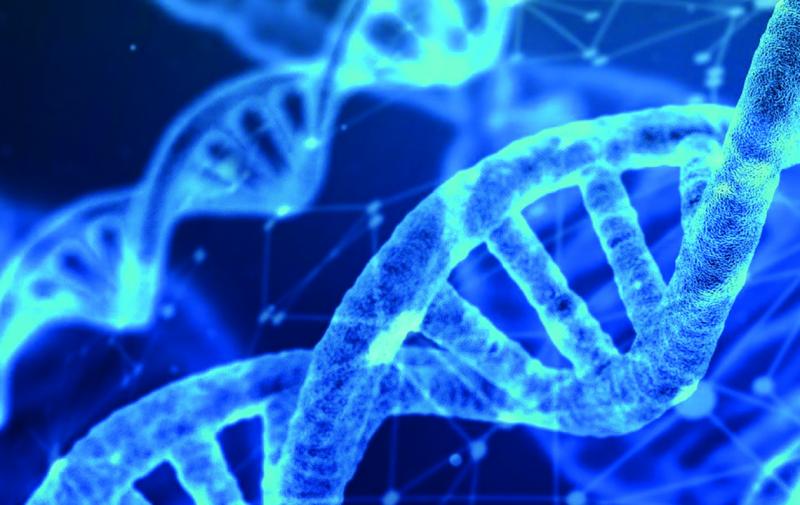 Neue Züchtungstechnologien – Ihre Meinung ist gefragt!