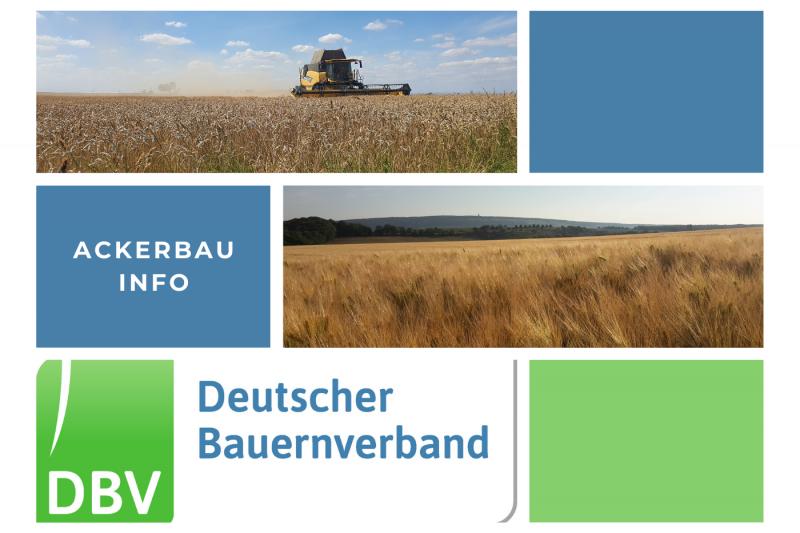 DBV Ackerbauinfo 27/2025