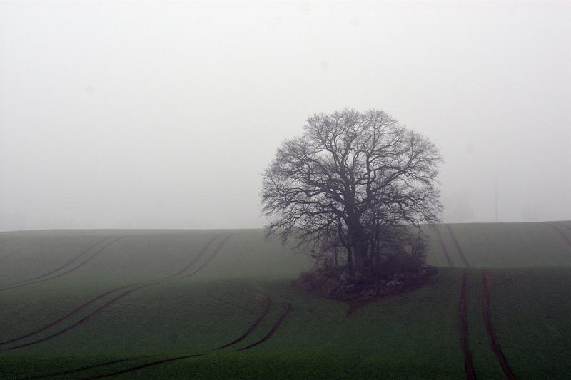 Übervolle Güllelager: Ausnahmen zur Ausbringung bei akuten Kapazitätsproblemen gefordert