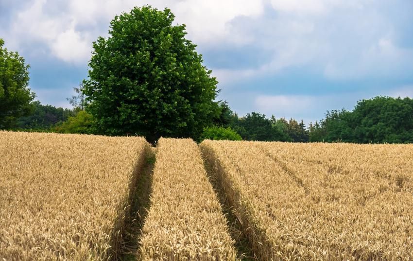 Neues beim Pflanzenschutz – Einstufung der Flächen bei NT-Auflagen geändert