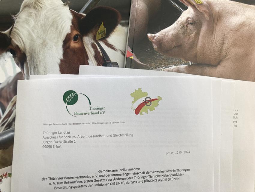Drittelbeteiligung an Tierkörperbeseitigungskosten für 2024 gesetzlich festgelegt