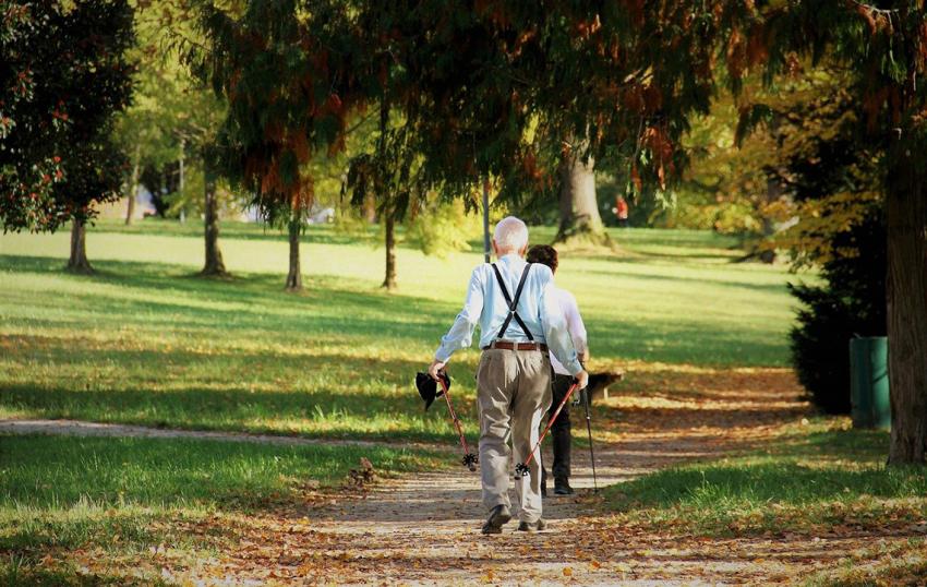 Präsidium der Landsenioren Thüringen neu gewählt