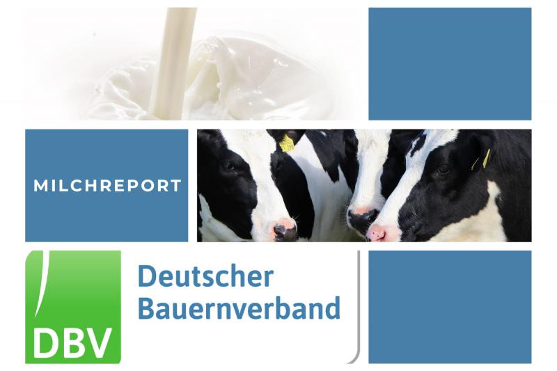 DBV Milchinfo 42/2025
