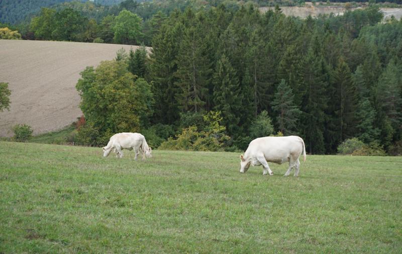 Anleitung zum Beantragen einer Ausnahmegenehmigung für KULAP-Maßnahmen