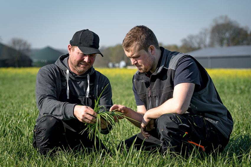 Landwirtschaftsministerium sucht „Ausbildungsbetrieb des Jahres 2025 in den Grünen Berufen“
