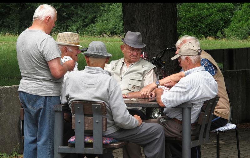 Landseniorenverband als Interessenvertretung des ländlichen Raumes
