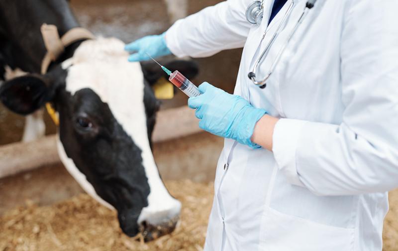 25. Gemeinschaftstagung von Landwirten und Tierärzten am 30. November