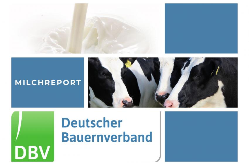 DBV Milchinfo 38/2025