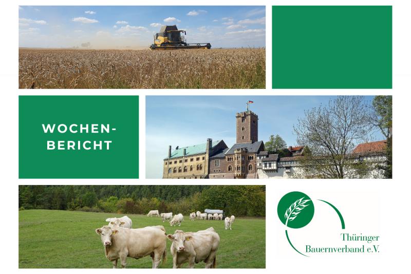 Wochenbericht 27. KW 2021